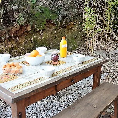 Mazet Mediterraneen Avec Terrasse Et Jardin - Rayol-canadel - Fr-1-226b-134 別荘 *