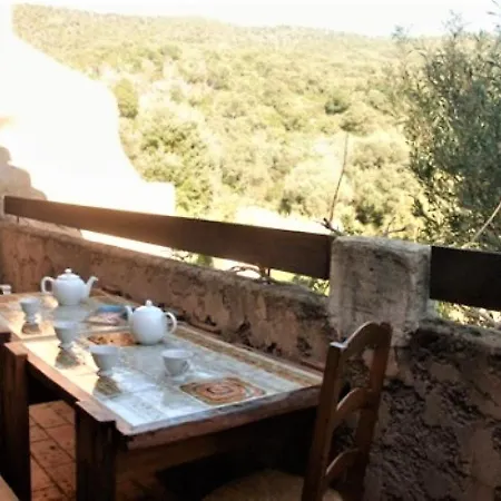 別荘 Mazet Mediterraneen Avec Terrasse Et Jardin - Rayol-canadel - Fr-1-226b-134 Le Rayol-Canadel-sur-Mer